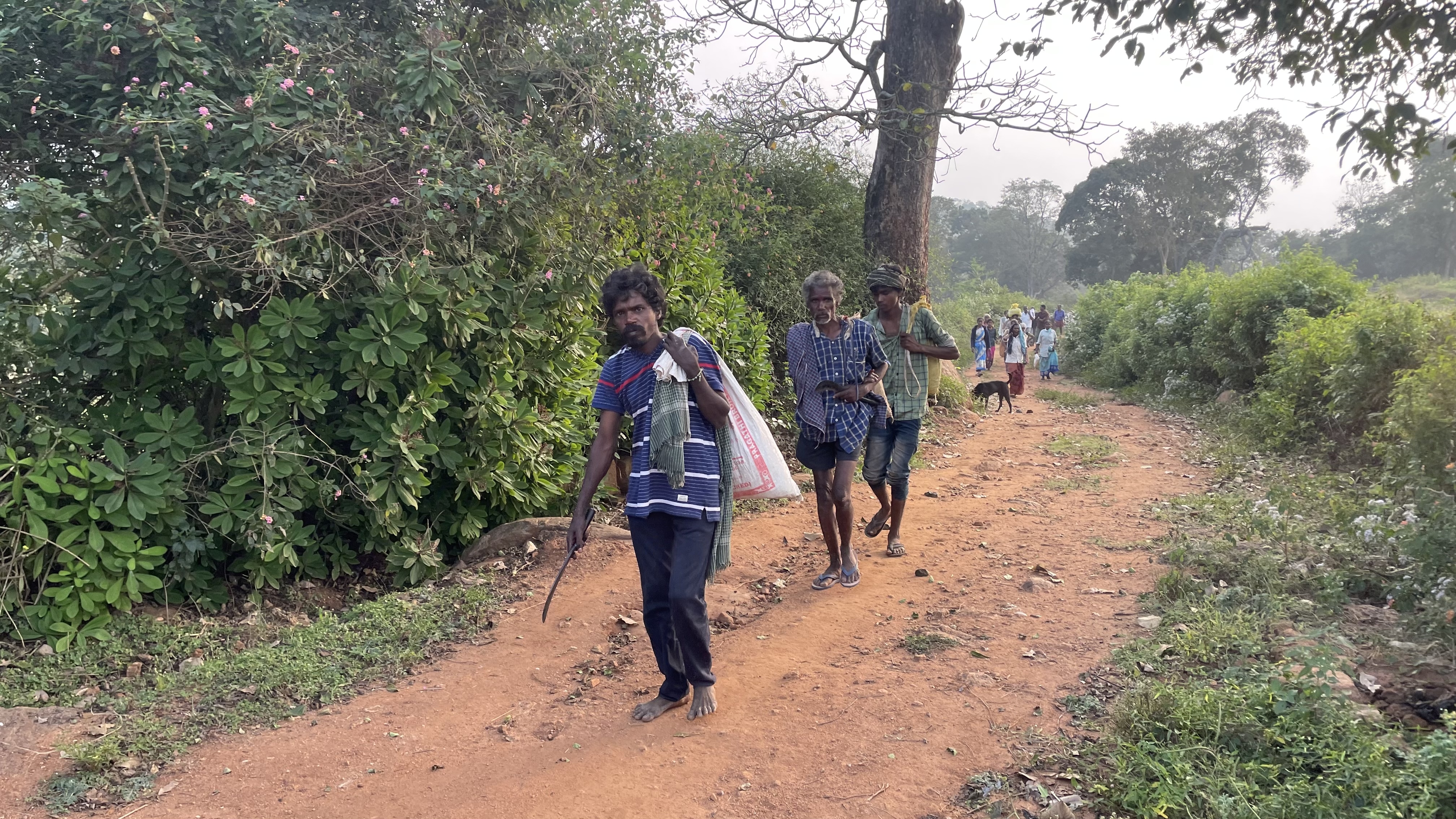 RDC community work 5