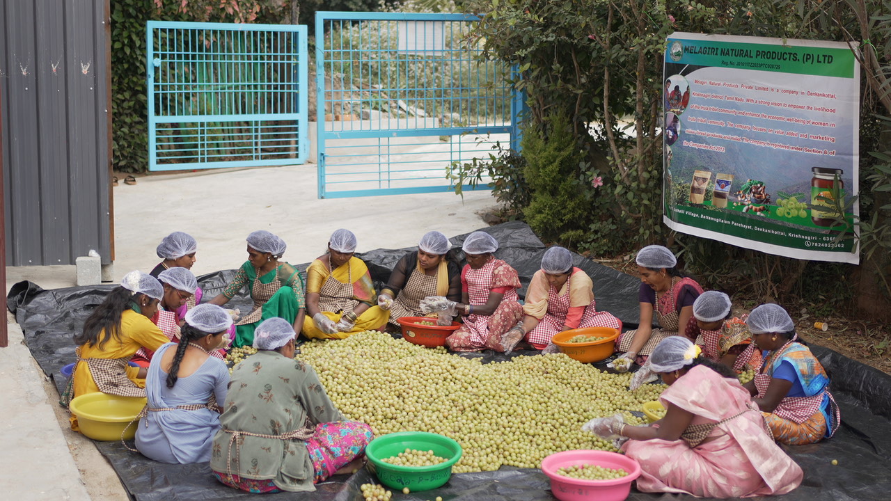 RDC community work 2